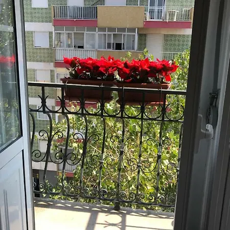 Luciano Resident Apartament *